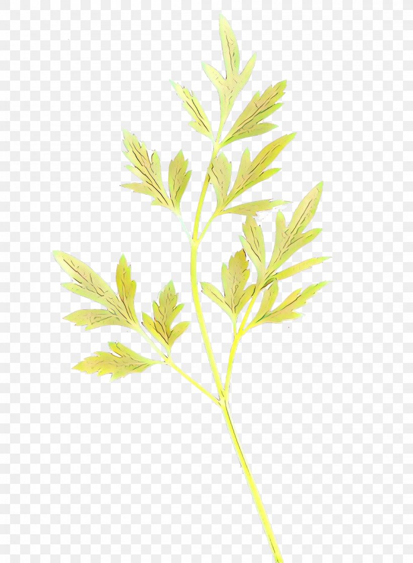 Leaf Plant Tree Flower Grass, PNG, 2201x3000px, Cartoon, Flower, Flowering Plant, Grass, Leaf Download Free