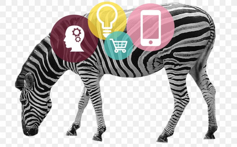 Clip Art, PNG, 946x590px, Image File Formats, Horse Like Mammal, Information, Neck, Zebra Download Free