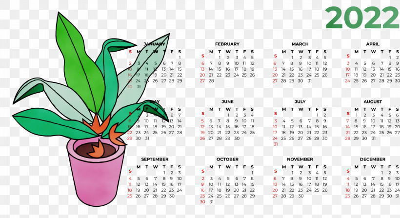 Flower Leaf Font Calendar System Meter, PNG, 3000x1639px, Watercolor, Biology, Calendar System, Flower, Leaf Download Free