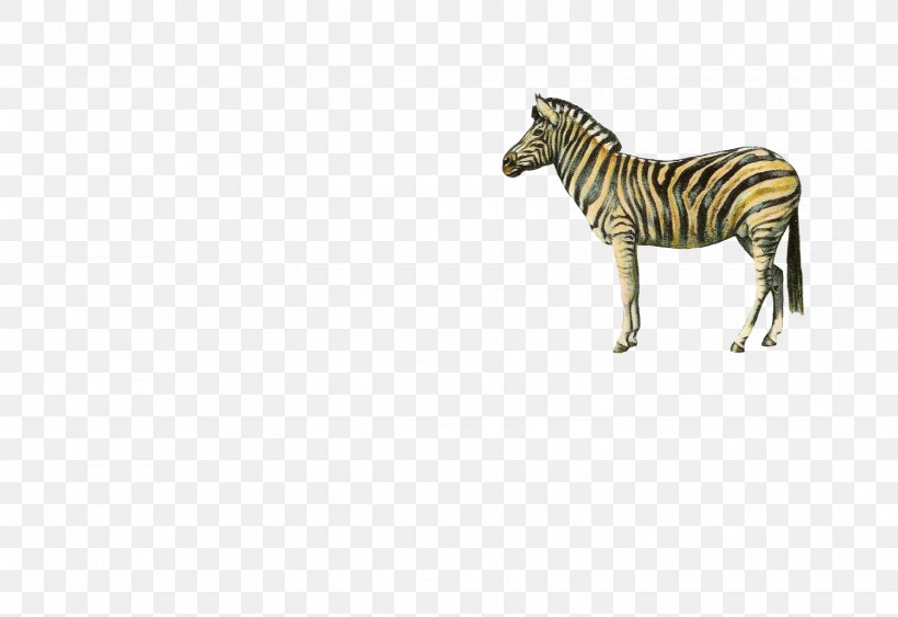 Quagga Zebra Download, PNG, 1500x1031px, Quagga, Big Cats, Copyright, Grass, Horse Like Mammal Download Free