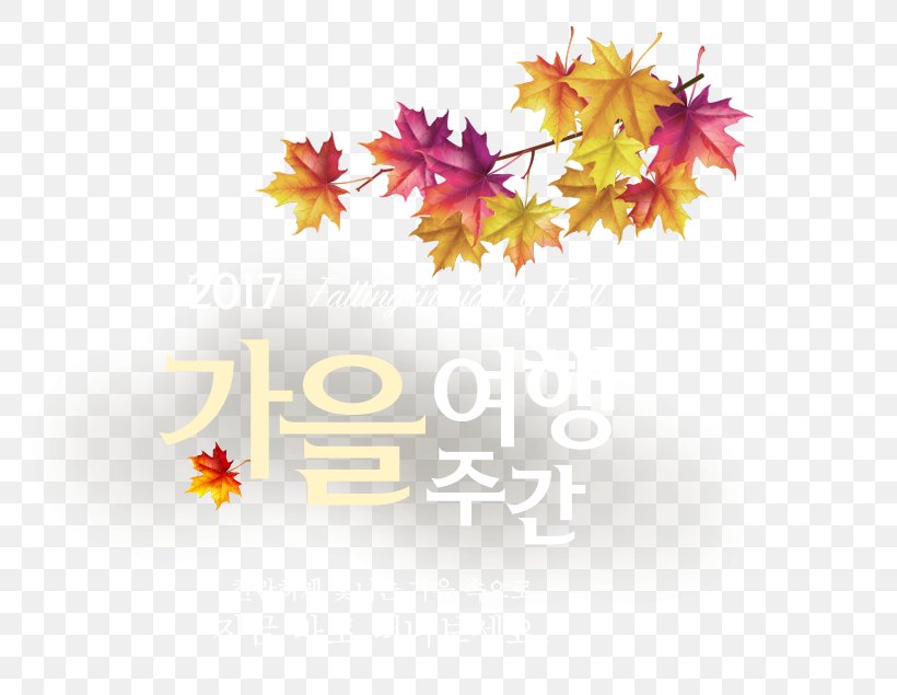 South Korea 한국관광협회중앙회 Ministry Of Education Ministry Of Culture, Sports And Tourism Korea Tourism Organization, PNG, 763x635px, South Korea, Autumn, Flower, Flowering Plant, Korea Tourism Organization Download Free