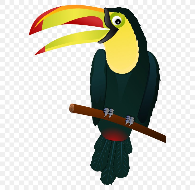 Toucan Bird Clip Art, PNG, 600x800px, Toucan, Beak, Bird, Cartoon, Fauna Download Free