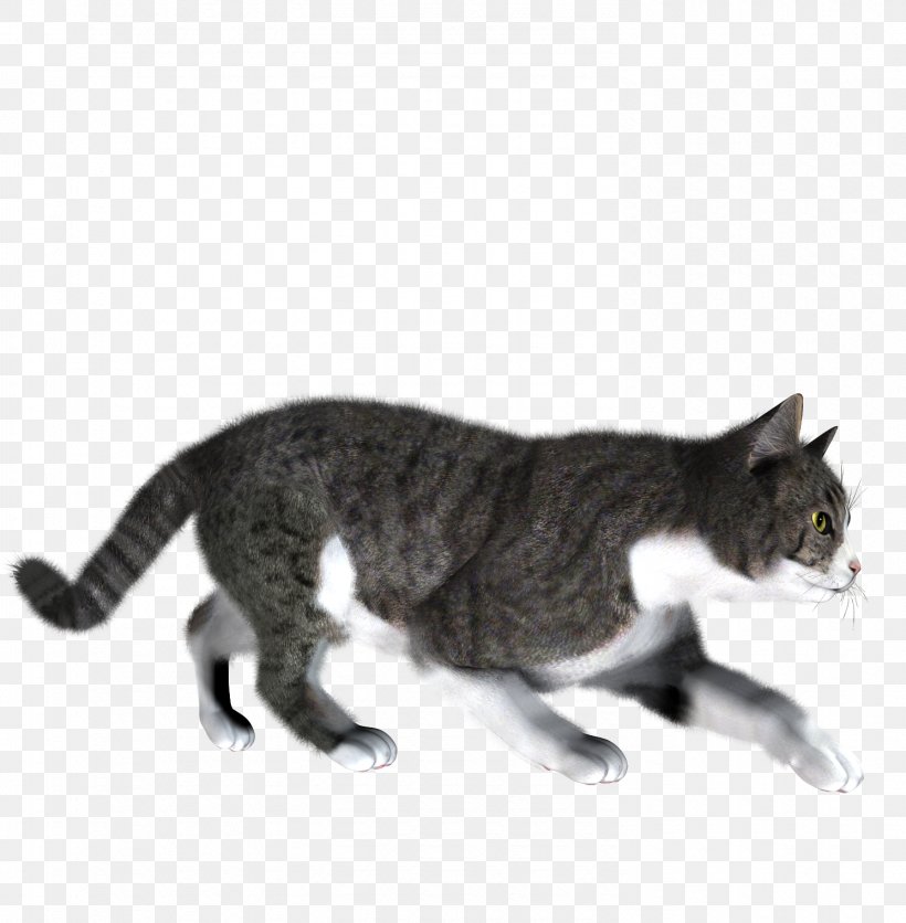 Cat Kitten Download Clip Art, PNG, 1490x1520px, Cat, American Wirehair, Black Cat, California Spangled, Carnivoran Download Free
