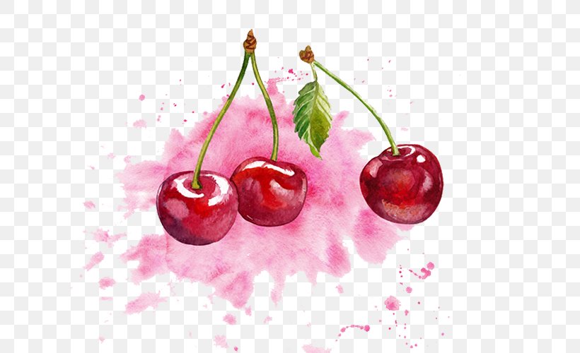 Cherry Watercolor Painting, PNG, 659x500px, Cherry, Auglis, Berry, Cherry Tomato, Color Download Free
