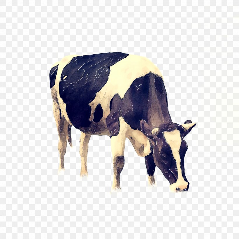 Cow Background, PNG, 2953x2953px, Angus Cattle, Beef Cattle, Bovine, Cattle, Dairy Download Free