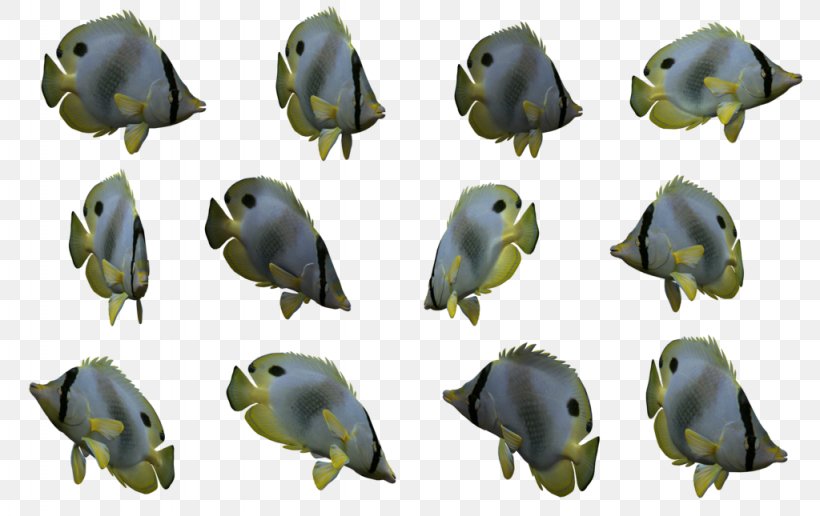 Fish Seawater Marine Mammal, PNG, 1024x645px, Fish, Animal, Deviantart, Fish Stock, Fishing Download Free