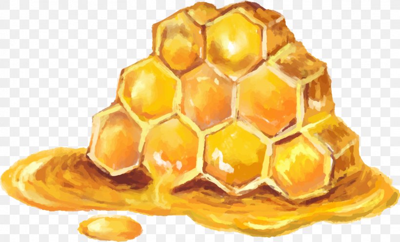 Honey Bee Honey Bee Mu0101nuka Honey Manuka, PNG, 1567x948px, Honey, Bee, Beekeeper, Beekeeping, Dish Download Free