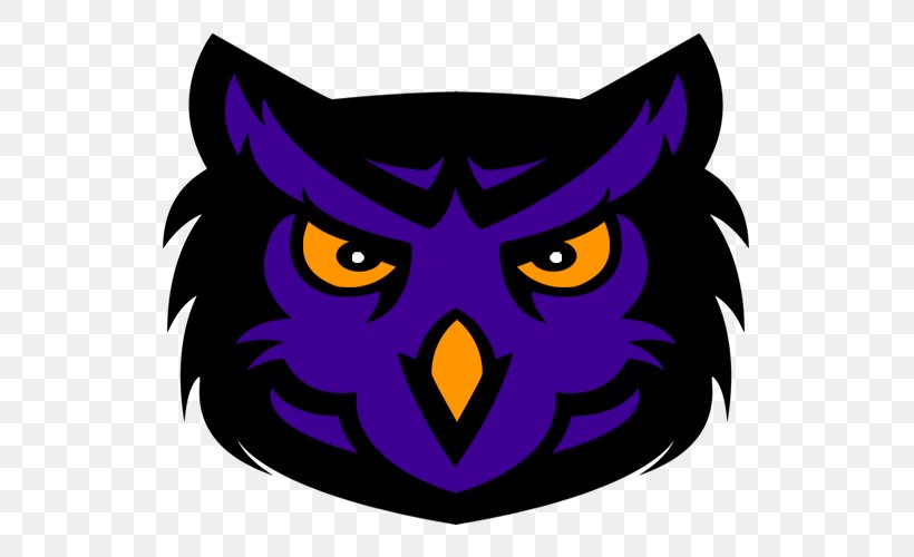 Owl Logo Sport, PNG, 600x500px, Owl, American Football, Animal, Beak, Bird Download Free