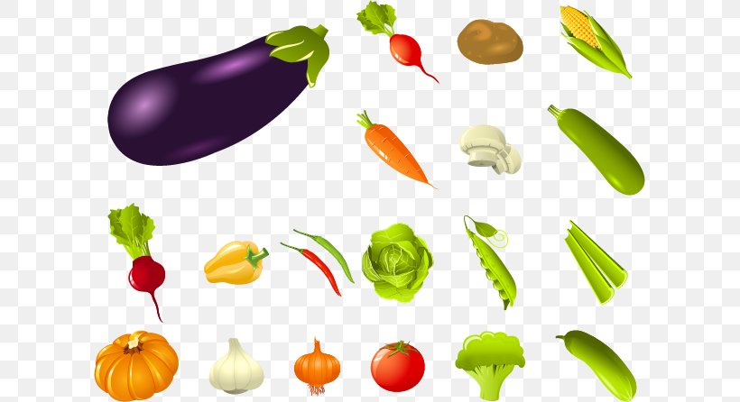 Vegetable Fruit Radish, PNG, 611x446px, Vegetable, Bell Pepper, Carrot, Chili Pepper, Diet Food Download Free