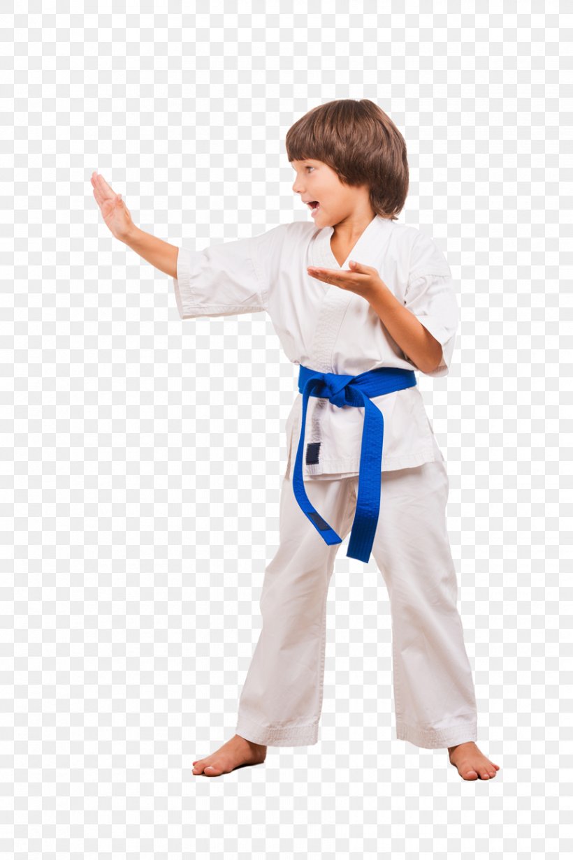 Karate Judo Jujutsu Black Belt Stock Photography, PNG, 862x1295px, Karate, Arm, Black Belt, Boy, Child Download Free
