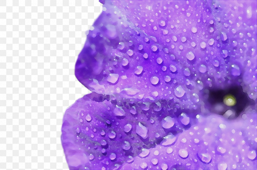 Lavender, PNG, 1200x797px, Watercolor, Closeup, Glitter, Lavender, Lilac M Download Free