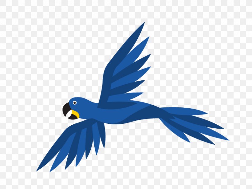Parrot Macaw Stock Photography Illustration, PNG, 831x623px, Parrot, Beak, Bird, Bluebird, Brazil Download Free