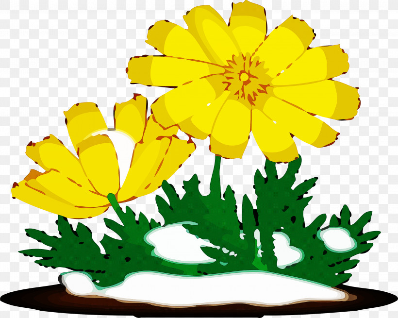 Yellow Flower Leaf Plant English Marigold, PNG, 3000x2399px, Yellow, English Marigold, Flower, Leaf, Plant Download Free