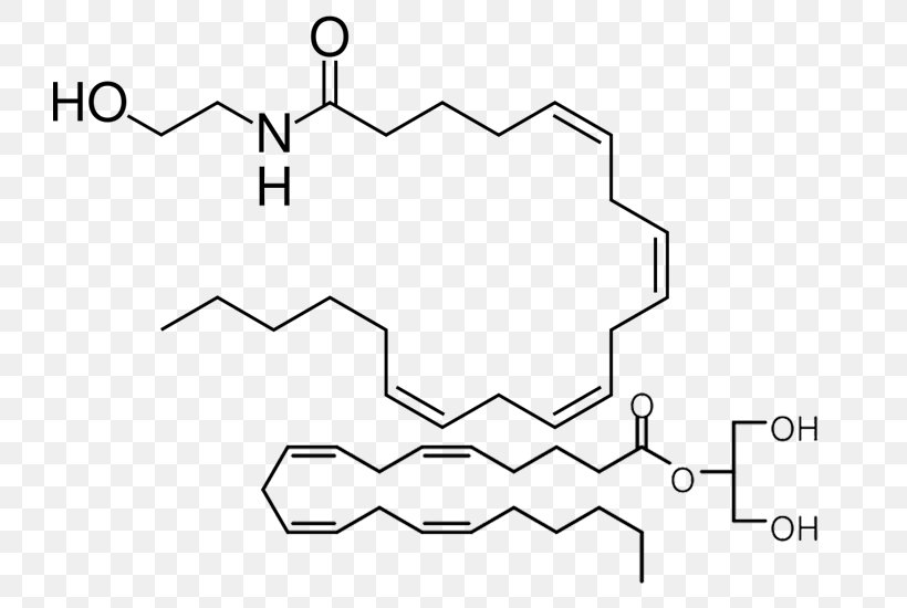 Anandamide Endocannabinoid System Tetrahydrocannabinol Cannabidiol, PNG, 800x550px, Anandamide, Agonist, Area, Auto Part, Black And White Download Free