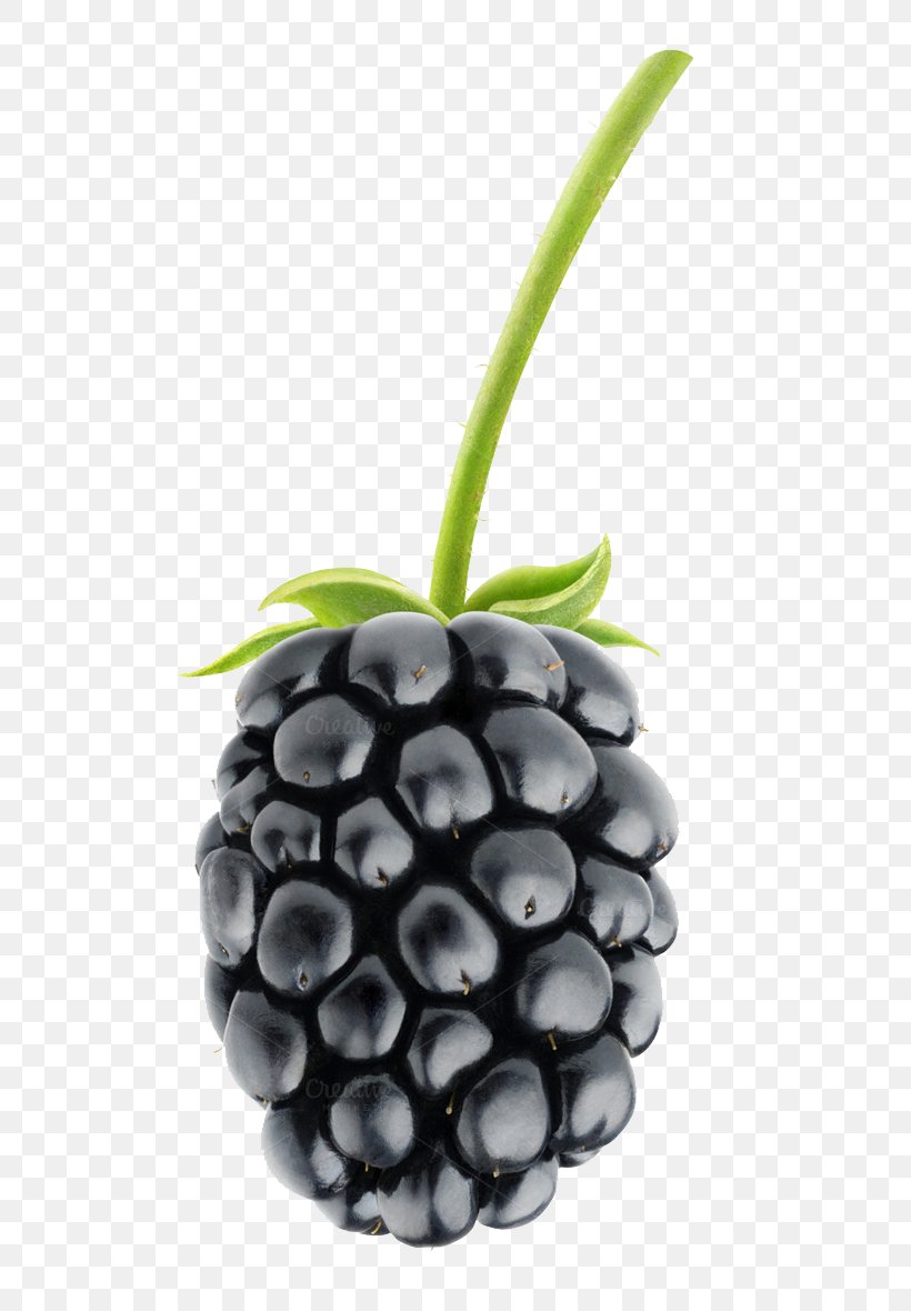 Blackberry Pie Fruit Salad, PNG, 680x1180px, Blackberry Bold 9900, Berry, Blackberry, Blackberry 10, Food Download Free