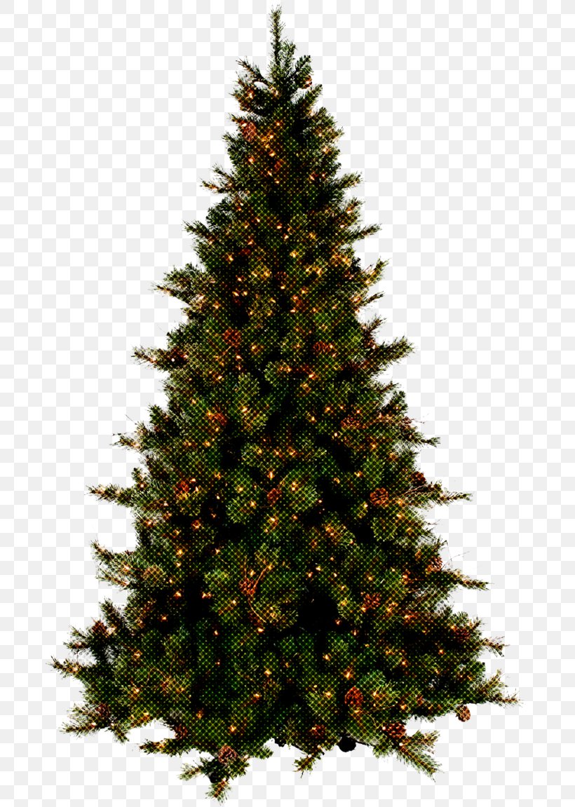 Christmas Tree, PNG, 694x1151px, Christmas Tree, Balsam Fir, Colorado Spruce, Columbian Spruce, Lodgepole Pine Download Free
