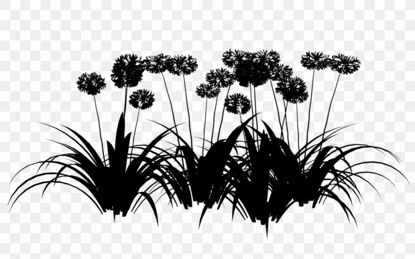 Flowering Plant Tree Plants, PNG, 1024x639px, Flower, Blackandwhite, Botany, Flowering Plant, Grass Download Free