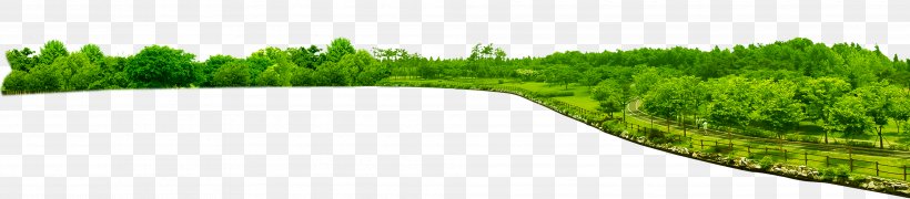 Green Tree Clip Art, PNG, 3972x875px, Green, Brand, Ecosystem, Forest, Garden Download Free