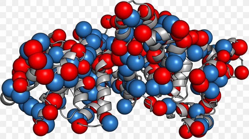 Human Serum Albumin Blood Proteins, PNG, 1239x696px, Albumin, Berry, Blood, Blood Plasma, Blood Proteins Download Free