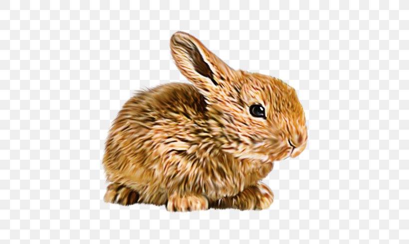 Domestic Rabbit Hare Flemish Giant Rabbit Mini Lop Mother Rabbit, PNG, 600x489px, Domestic Rabbit, Animal, Domestic Animal, European Rabbit, Fauna Download Free