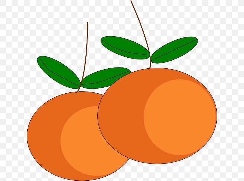 Mandarin Orange Tangerine Orange Juice Clip Art, PNG, 640x609px, Mandarin Orange, Apple, Chinese New Year, Citrus, Clementine Download Free