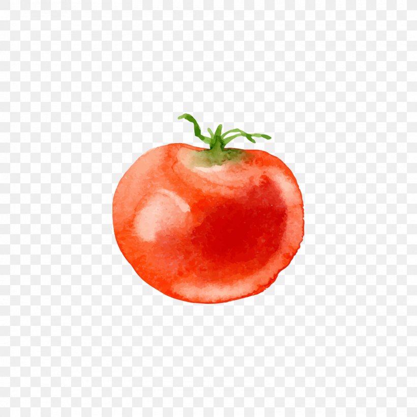 Tomato Vegetable Food U4f5cu578b, PNG, 1600x1600px, Tomato, Apple, Auglis, Diet Food, Food Download Free