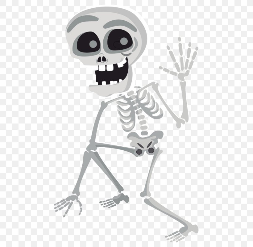 Skull Human Skeleton Clip Art, PNG, 800x800px, Skull, Bone, Human Body, Human Skeleton, Human Skull Symbolism Download Free