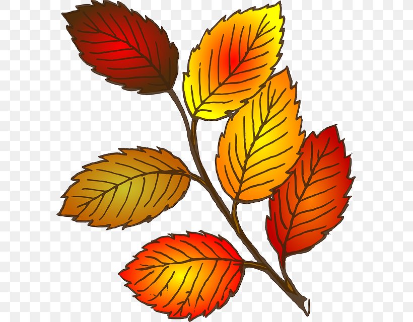 Autumn Leaf Color Clip Art, PNG, 595x640px, Autumn Leaf Color, Artwork, Autumn, Branch, Color Download Free