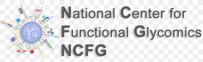 Consortium For Functional Glycomics National Center For Functional Glycomics Glycan Biochemistry, PNG, 1021x314px, Glycomics, Area, Banner, Biochemistry, Biology Download Free