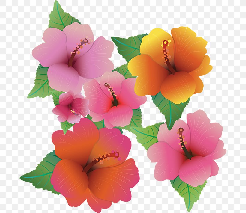 Hawaiian Hibiscus Flower Clip Art, PNG, 690x711px, Hawaiian Hibiscus, Art, Common Daisy, Drawing, Flower Download Free