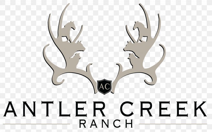 Reindeer Antler Logo Horn, PNG, 2000x1244px, Reindeer, Antler, Brand, Deer, Horn Download Free