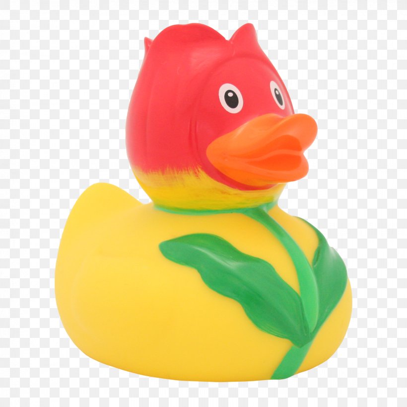 Rubber Duck Material DUCKSHOP Tulip, PNG, 1631x1630px, Duck, Animal Figure, Beak, Bird, Blume Download Free