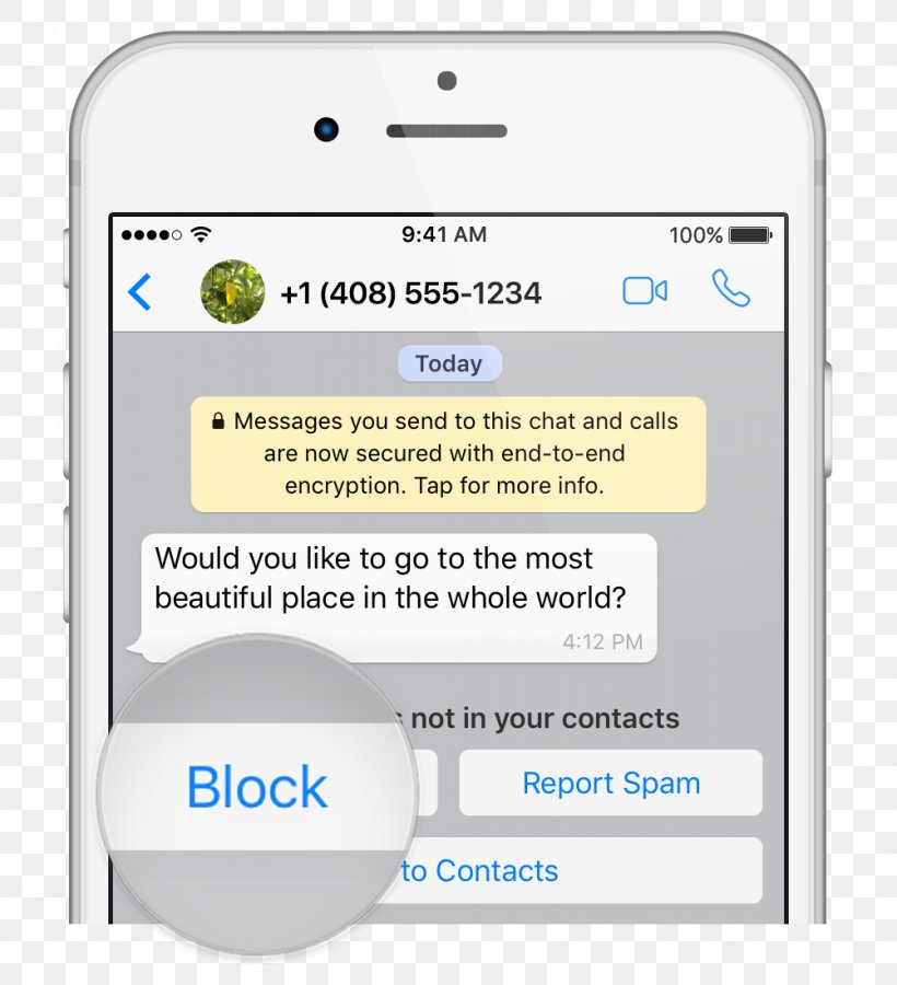 WhatsApp Message Computer Software End-to-end Encryption, PNG, 1002x1100px, Whatsapp, Area, Blocked, Computer Software, Data Download Free
