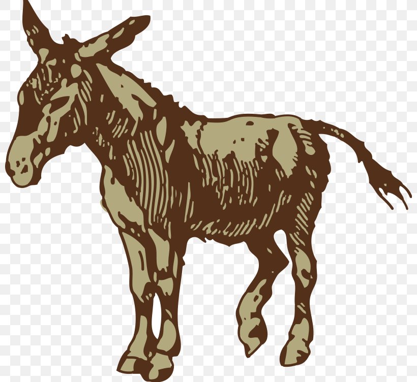Donkey Clip Art Mule, PNG, 800x752px, Donkey, Animal Figure, Burro, Colt, Drawing Download Free