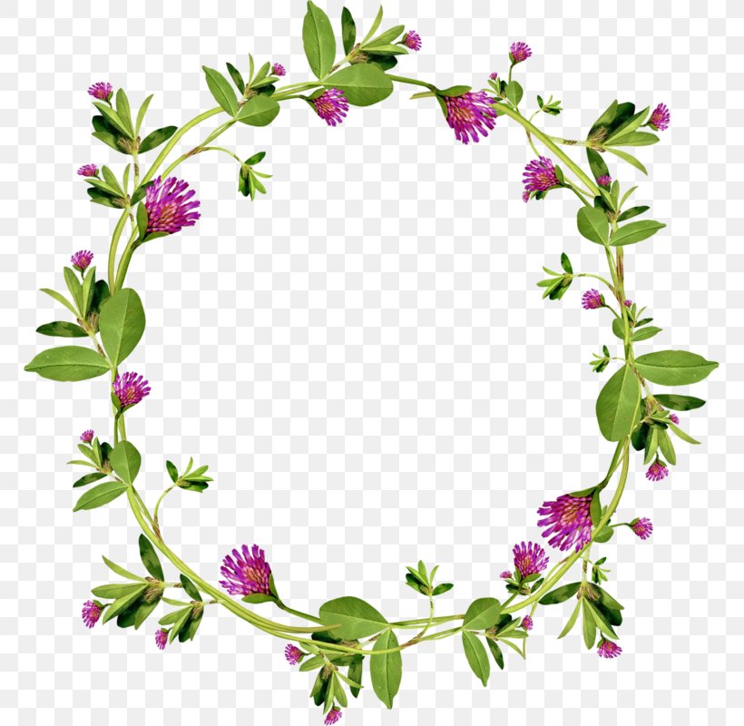 Garland Floral Design Wreath, PNG, 767x800px, Garland, Abreixdfkalender, Branch, Flora, Floral Design Download Free
