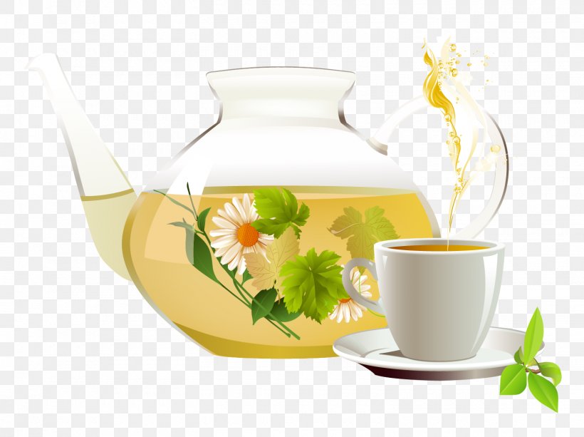 Green Tea Chrysanthemum Tea White Tea Herbal Tea, PNG, 1520x1137px, Tea, Camellia Sinensis, Chrysanthemum Tea, Coffee Cup, Cup Download Free