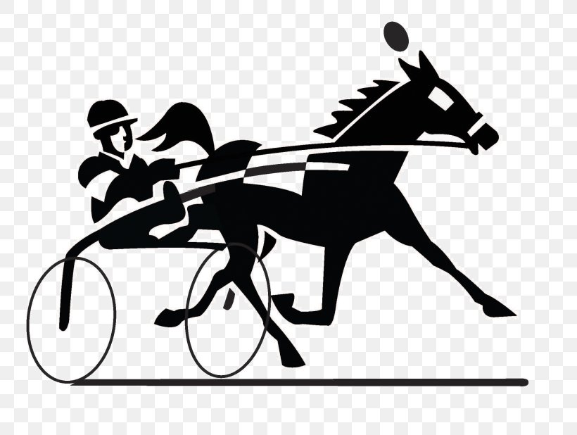 Horse Racing Clip Art Harness Racing Standardbred Mustang, PNG, 800x618px, Horse Racing, Black And White, Bridle, Chariot, Diagram Download Free