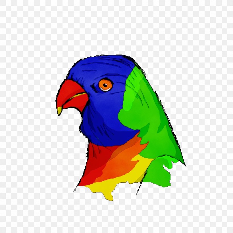 Lovebird, PNG, 1000x1000px, Watercolor, Beak, Bird, Lorikeet, Lovebird Download Free