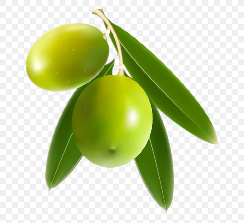 Mango Benishan Olive Clip Art, PNG, 750x750px, Mango, Benishan, Citrus, Food, Fruit Download Free