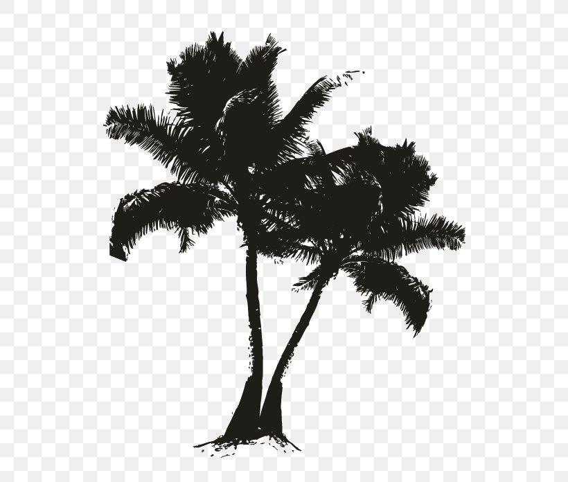Asian Palmyra Palm Date Palm Black Silhouette White, PNG, 696x696px, Asian Palmyra Palm, Arecaceae, Arecales, Black, Black And White Download Free
