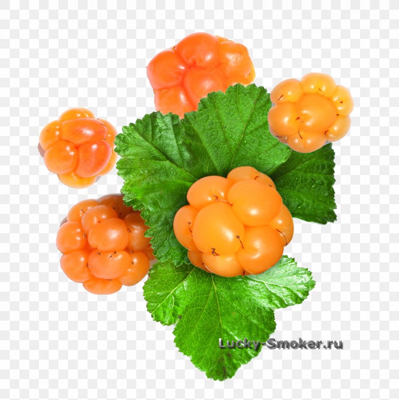Cloudberry Red Raspberry Blackcurrant, PNG, 1228x1233px, Cloudberry, Berry, Blackcurrant, Brambles, Cottage Download Free