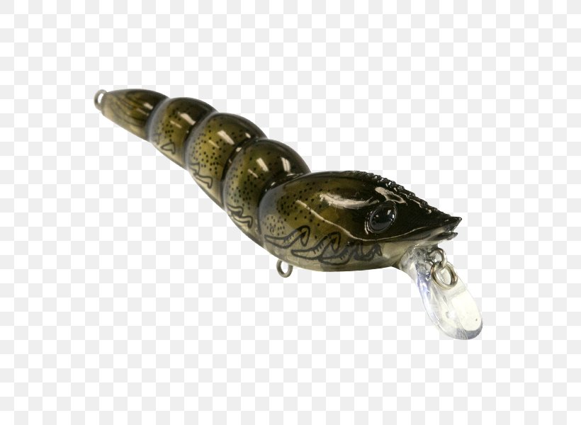 Fishing Baits & Lures Egret Baits Vudu Shrimp, PNG, 600x600px, Fishing Baits Lures, Bait, Bait Fish, Bass Fishing, Bassmaster Classic Download Free