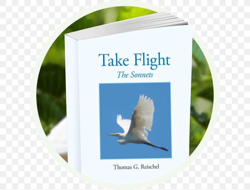 Take Flight: The Sonnets Poetry Beak Travel, PNG, 622x622px, Poetry, Adventure, Adventure Film, Beak, Bird Download Free