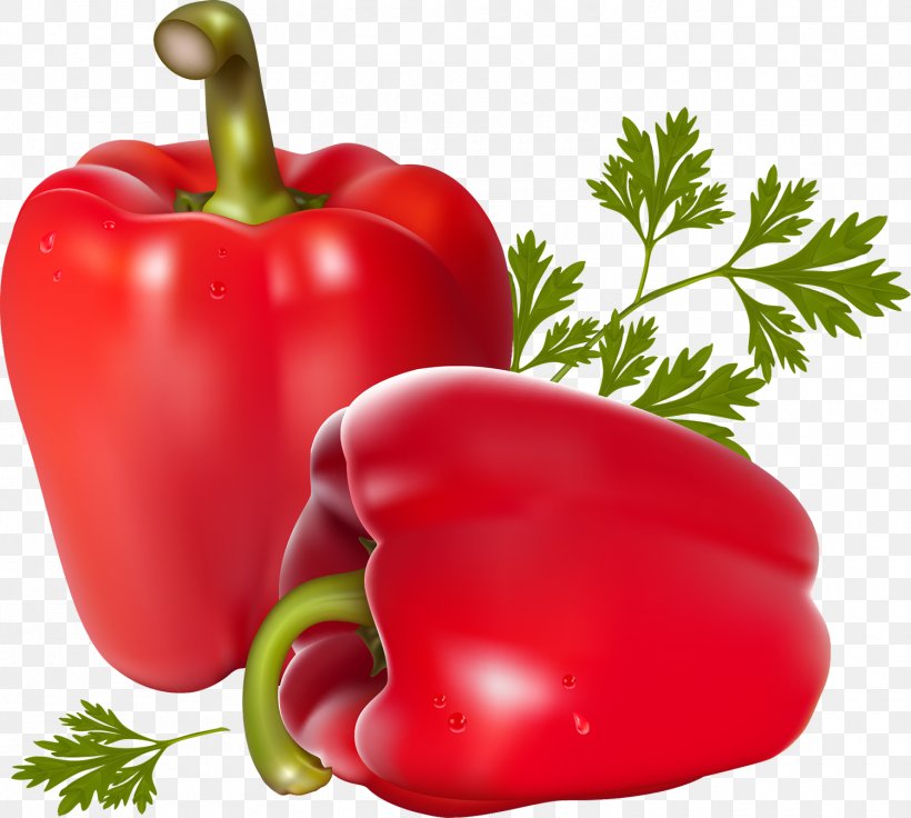 Vegetarian Cuisine Chili Pepper Vegetable Bell Pepper, PNG, 1500x1348px, Vegetarian Cuisine, Bell Pepper, Bell Peppers And Chili Peppers, Bush Tomato, Capsicum Download Free