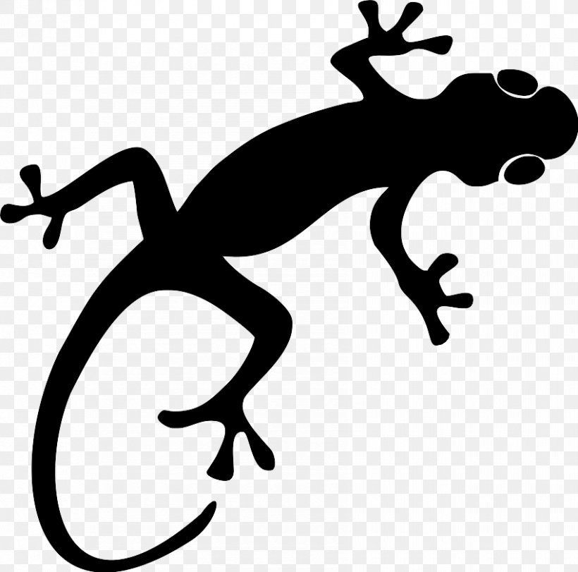 Frog Cartoon, PNG, 850x841px, Lizard, Animal, Blackandwhite, Frog, Gecko Download Free