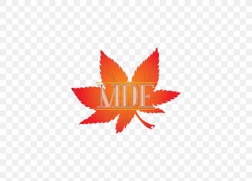 Logo Maple Leaf Japanese Maple Brand Font, PNG, 600x590px, Logo, Brand, Com, Company, Japanese Maple Download Free