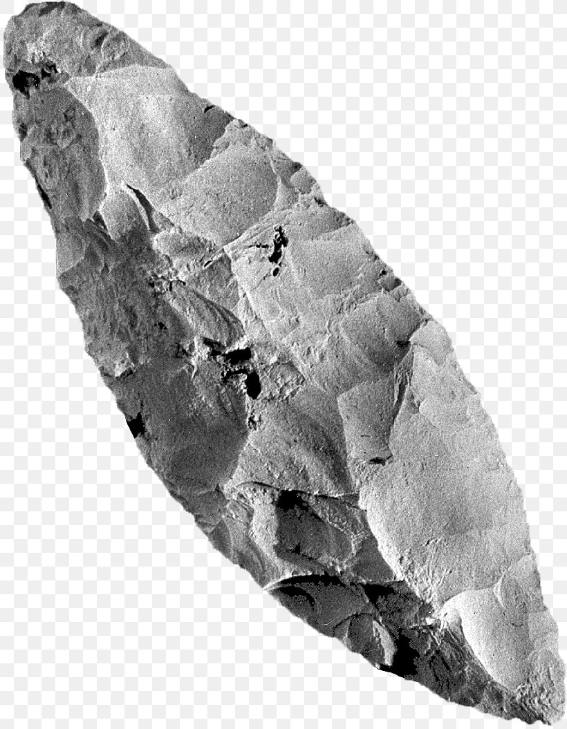 Archaeology Hueyatlaco Rice Genetics Excavation, PNG, 817x1055px, Archaeology, Anthropology, Black And White, Code, Evolution Download Free