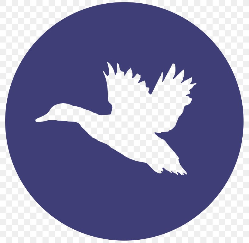 Duck Waterfowl Hunting Goose Decal, PNG, 800x800px, 2018, Duck, Beak, Bird, Computer Download Free