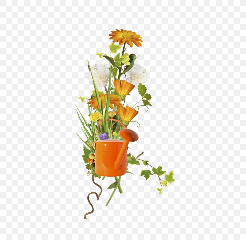 Floral Design Chrysanthemum Image Clip Art, PNG, 434x800px, Floral Design, Chrysanthemum, Cut Flowers, Flora, Floristry Download Free