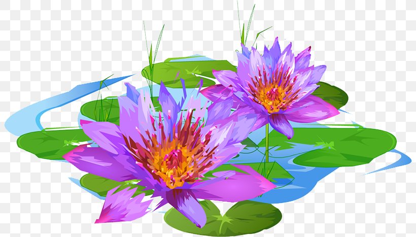 Floral Design Purple Petal Annual Plant Flowering Plant, PNG, 804x467px, Floral Design, Annual Plant, Floristry, Flower, Flower Arranging Download Free